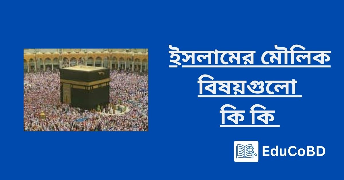 ইসলামের মৌলিক বিষয়গুলো কি কি