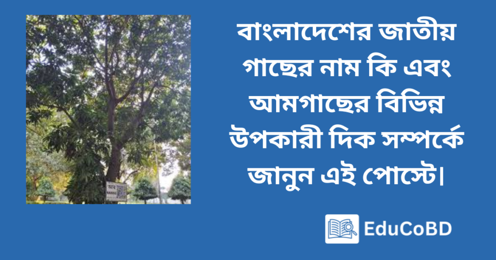 বাংলাদেশের জাতীয় গাছের নাম কি এবং আমগাছের বিভিন্ন উপকারী দিক সম্পর্কে জানুন এই পোস্টে।